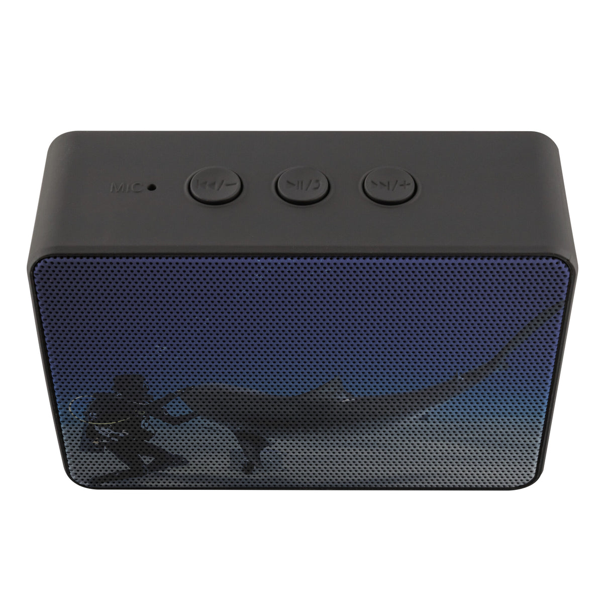 Boxanne Bluetooth Speaker